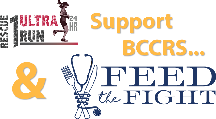 BCCRS donation page